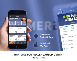Palmerbet Mobile App