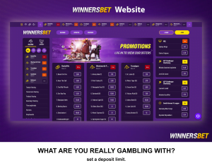 WinnersBet Website