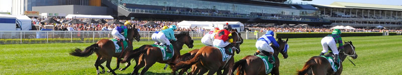 Melbourne Cup Race